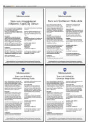 Síða 24