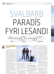 Síða 46