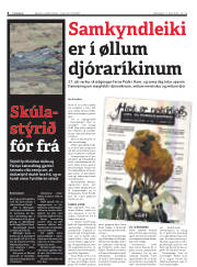 Síða 4