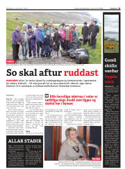 Síða 11