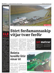 Síða 12