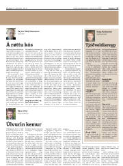 Síða 17
