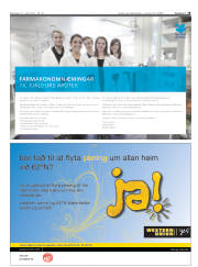 Síða 19