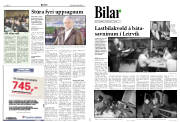Síða 8