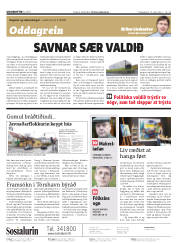 Síða 2