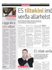 Síða 6