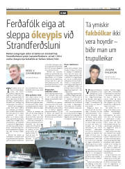 Síða 17