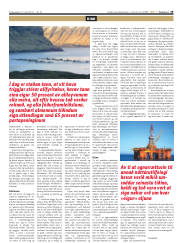 Síða 19