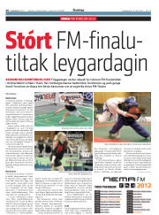 Síða 30
