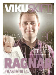 Síða 33