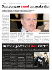 Síða 8