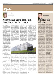 Síða 21