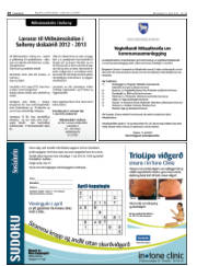 Síða 28