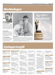 Síða 31