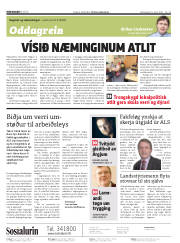 Síða 2