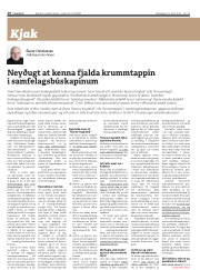 Síða 16