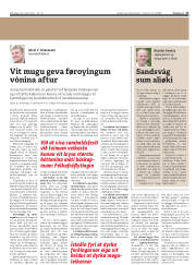 Síða 17