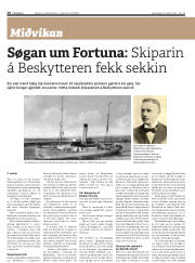 Síða 20