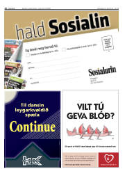 Síða 22