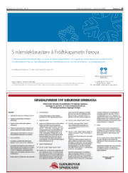Síða 25