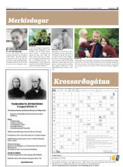 Síða 29