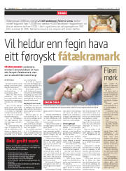 Síða 8