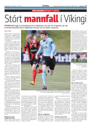 Síða 29