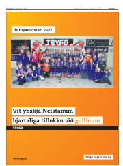 Síða 5
