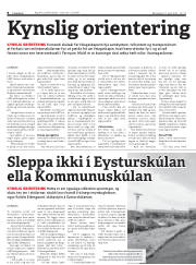 Síða 8