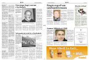 Síða 2