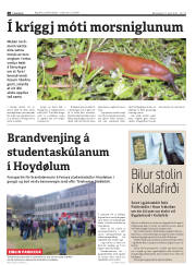 Síða 26