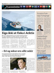 Síða 12