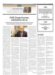 Síða 17