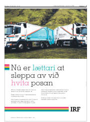Síða 3