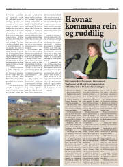 Síða 17