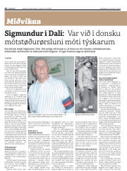 Síða 20