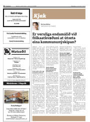 Síða 22