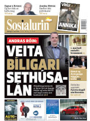 Síða 1