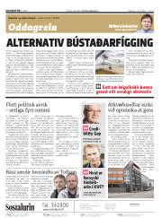 Síða 2