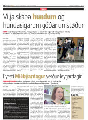 Síða 14