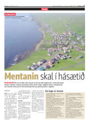 Síða 15