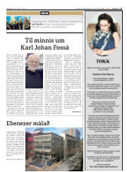 Síða 17