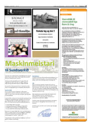 Síða 29