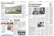 Síða 3