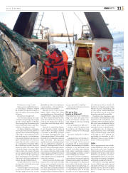 Síða 51