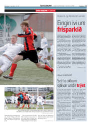 Síða 15