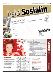 Síða 29