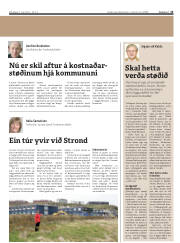 Síða 13