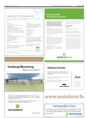 Síða 25