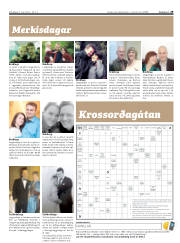 Síða 29